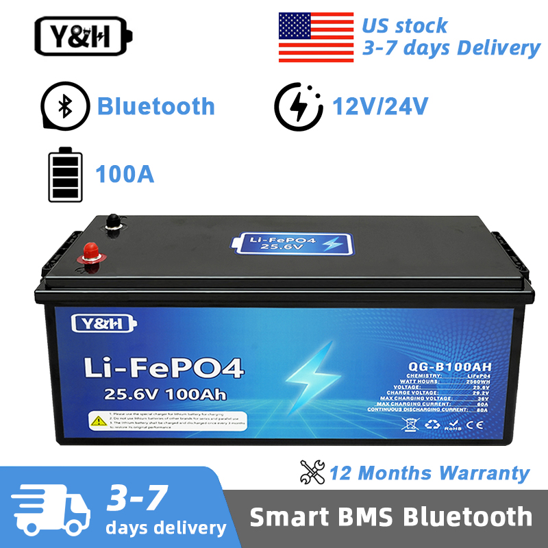 Lifepo4 12V 100Ah Bms Bluetooth - [Lokale Lieferung] Y&H 12V 24V 100Ah